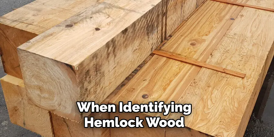 When Identifying Hemlock Wood