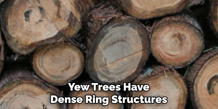 Yew Trees Have Dense Ring Structures