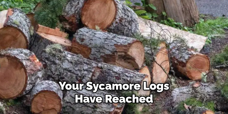 Your Sycamore Logs Have Reached