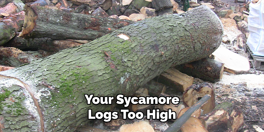 Your Sycamore Logs Too High