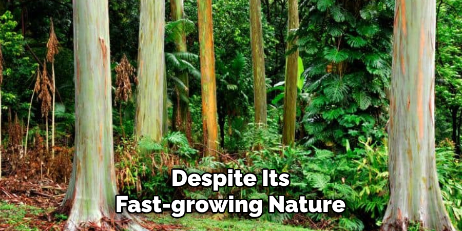 Despite Its Fast-growing Nature