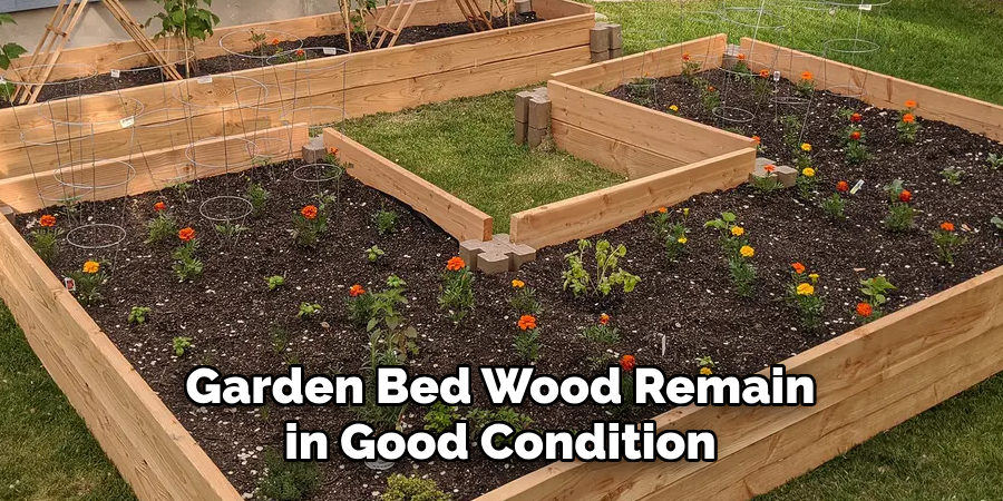 Garden Bed Wood Remains in Good Condition