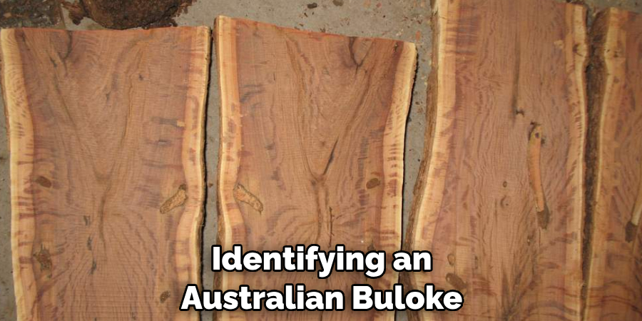 Identifying an Australian Buloke