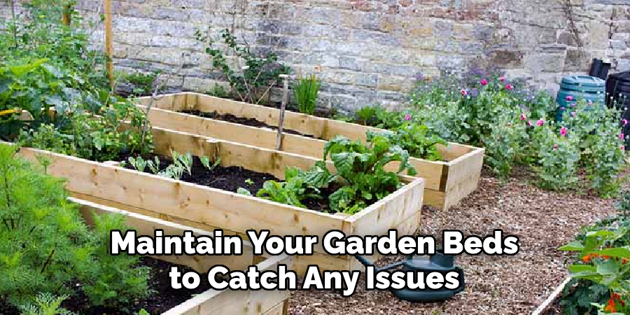 Maintain Your Garden Beds to Catch Any Issues