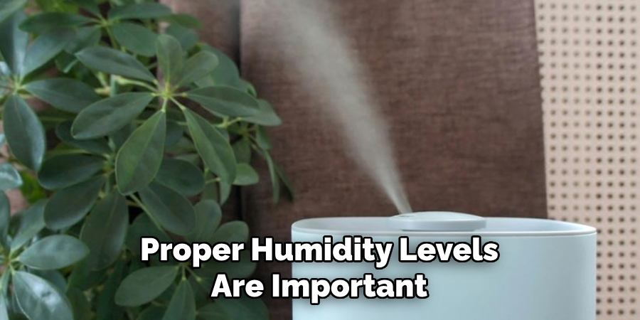 Proper Humidity Levels Are Important