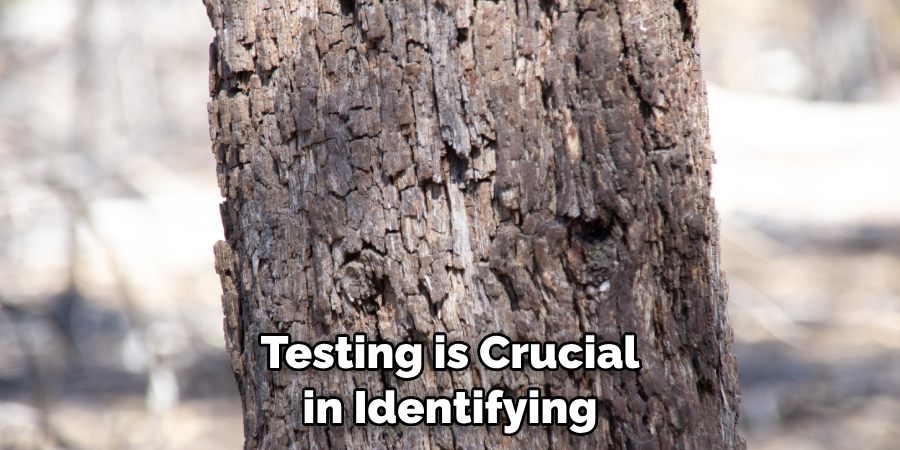 Testing is Crucial in Identifying