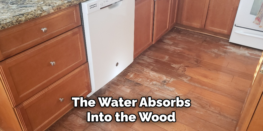 The Water Absorbs Into the Wood