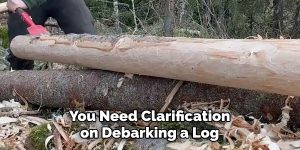 How to Debark a Log | 5 Easy Steps (2025)