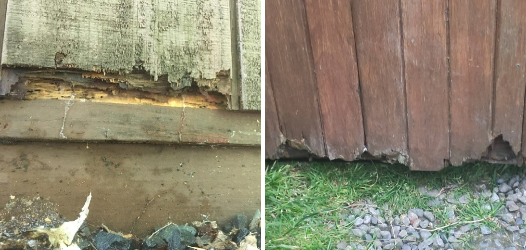 How to Stop Bottom of Shed Rotting