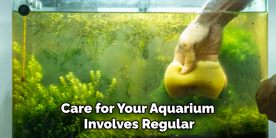 Care for Your Aquarium
Involves Regular