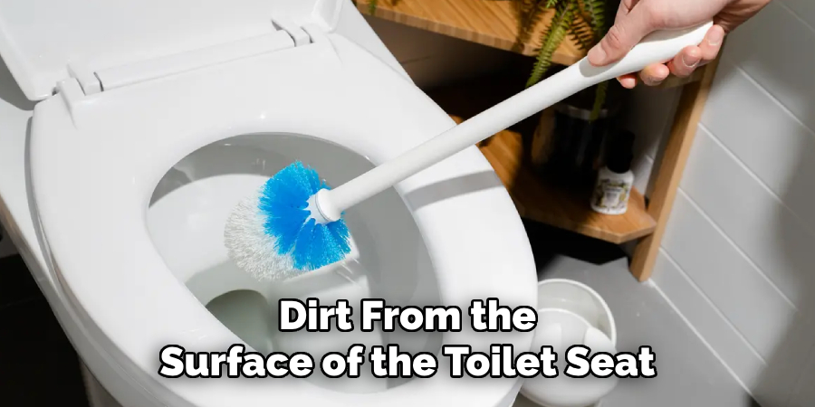 Dirt From the Surface of the Toilet Seat