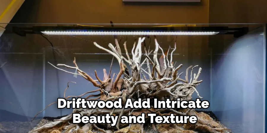 Driftwood Add Intricate
Beauty and Texture