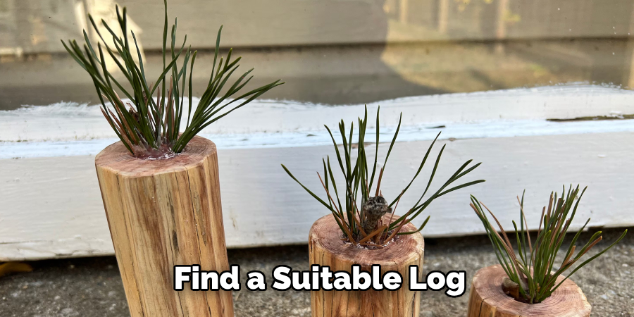 Find a Suitable Log