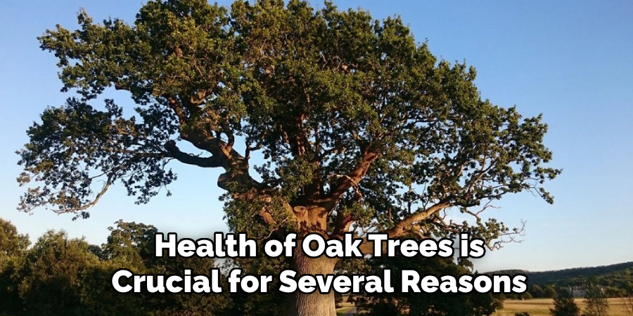 Health of Oak Trees is Crucial for Several Reasons