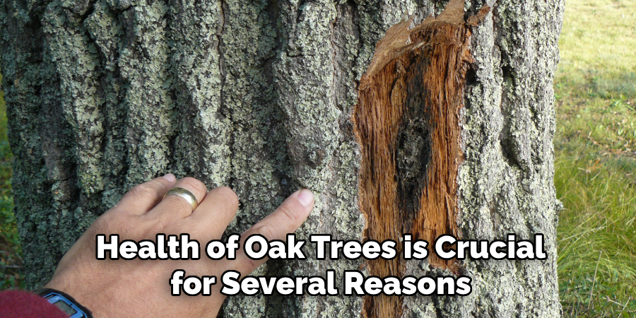 Health of Oak Trees is Crucial for Several Reasons