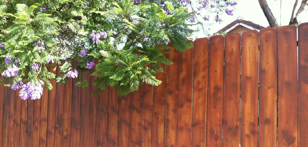 How to Stain Redwood