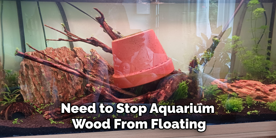 Need to Stop Aquarium
Wood From Floating