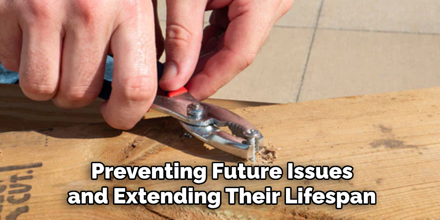 Preventing Future Issues and Extending Their Lifespan