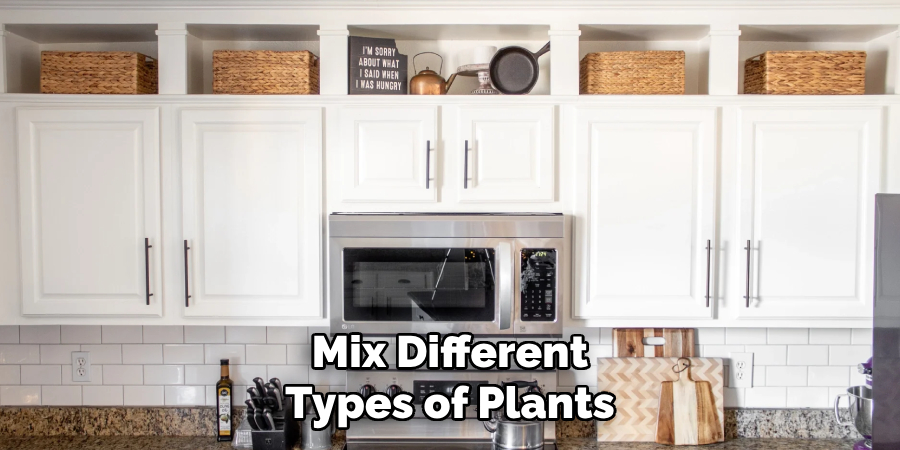 Mix Different Types of Plants