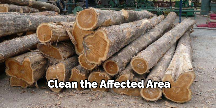 Clean the Affected Area