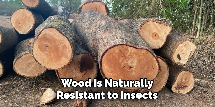 Wood is Naturally Resistant to Insects