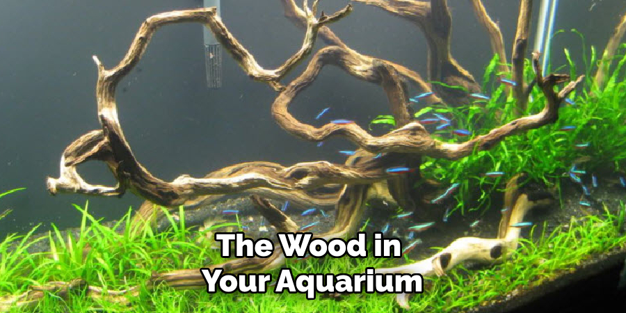 The Wood in
Your Aquarium