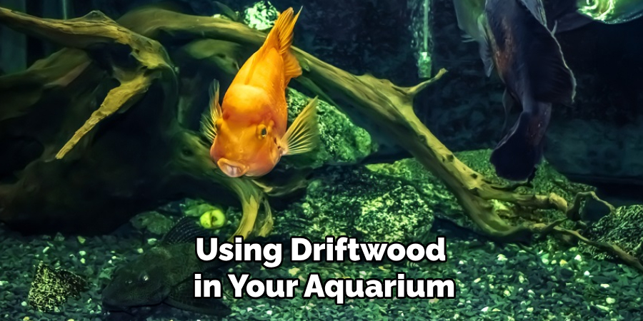 Using Driftwood
in Your Aquarium