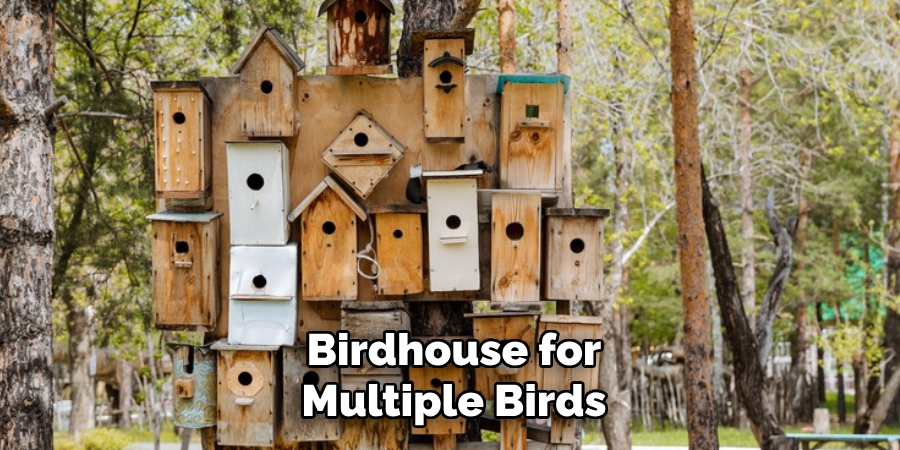 Birdhouse for Multiple Birds