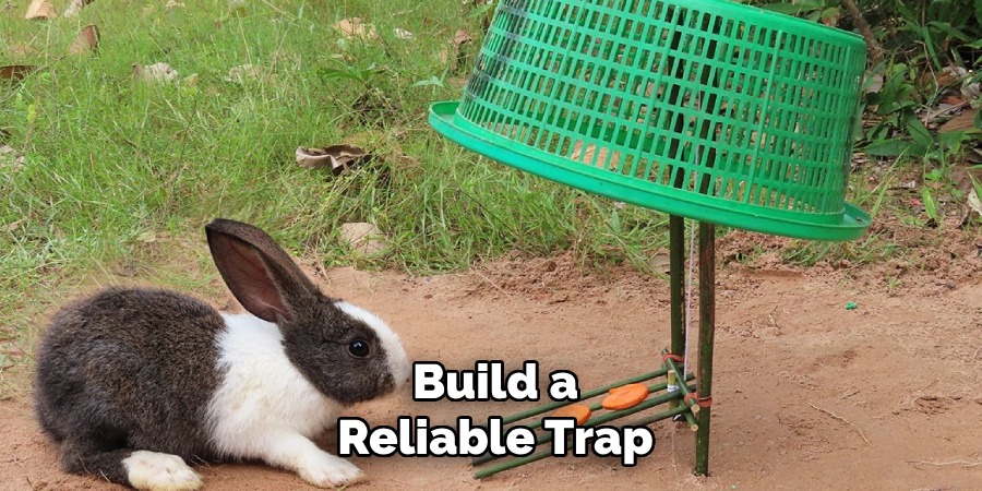 Build a
Reliable Trap