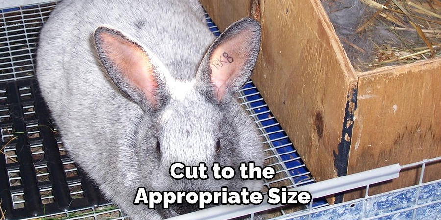 Cut to the
Appropriate Size