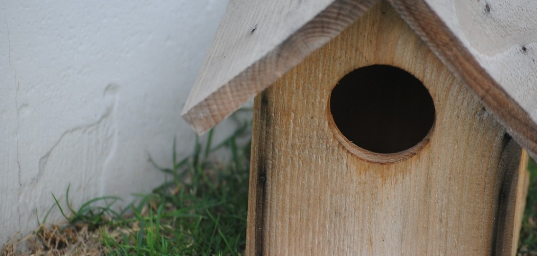 How to Make a Wooden Birdhouse
