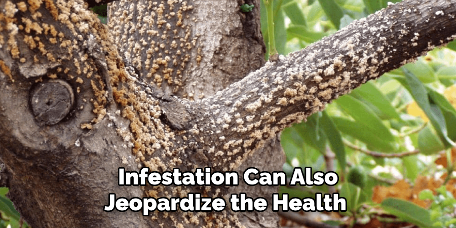 Infestation Can Also Jeopardize the Health 