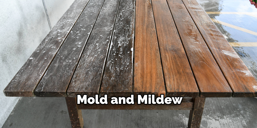 Mold and Mildew