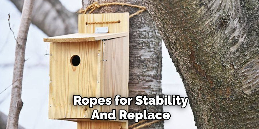 Ropes for Stability and Replace