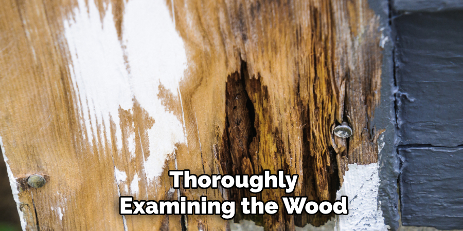 Thoroughly
Examining the Wood