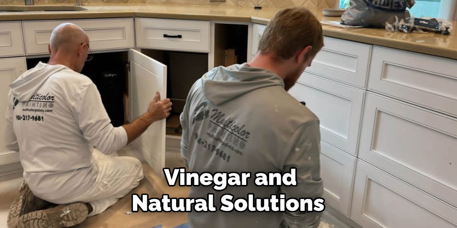 Vinegar and Natural Solutions 