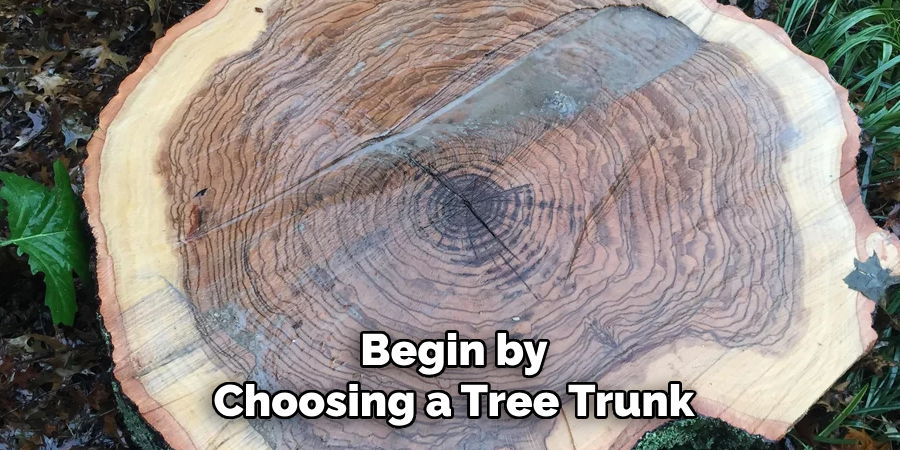Begin by
Choosing a Tree Trunk 