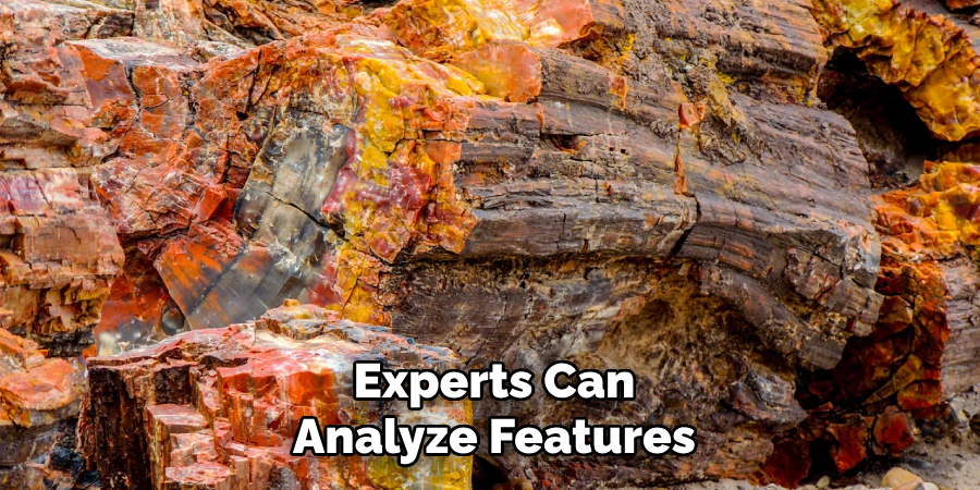 Experts Can
Analyze Features