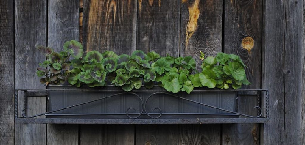 How to Paint a Wood Planter Box