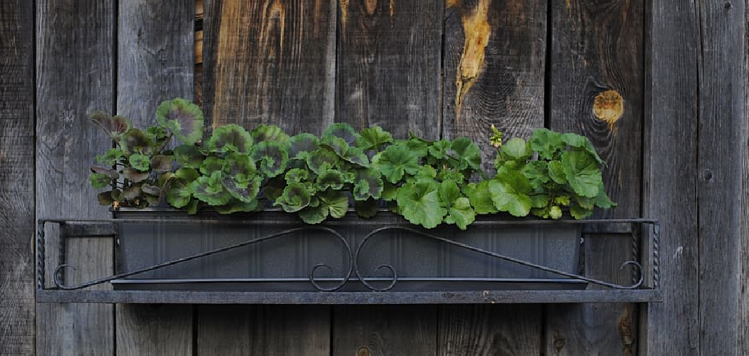 How to Paint a Wood Planter Box