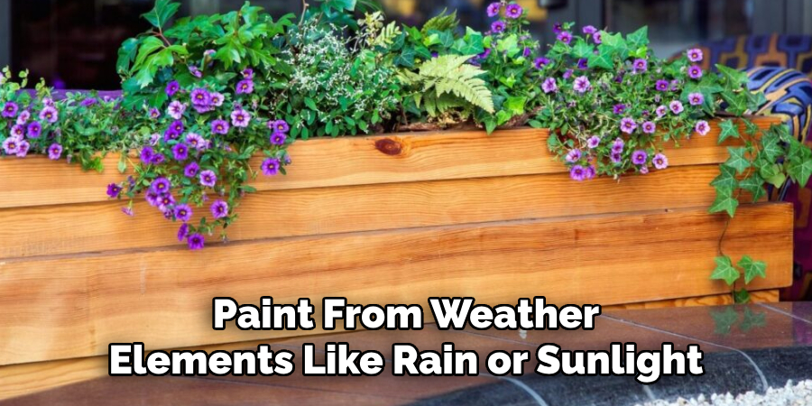 Paint From Weather
Elements Like Rain or Sunlight