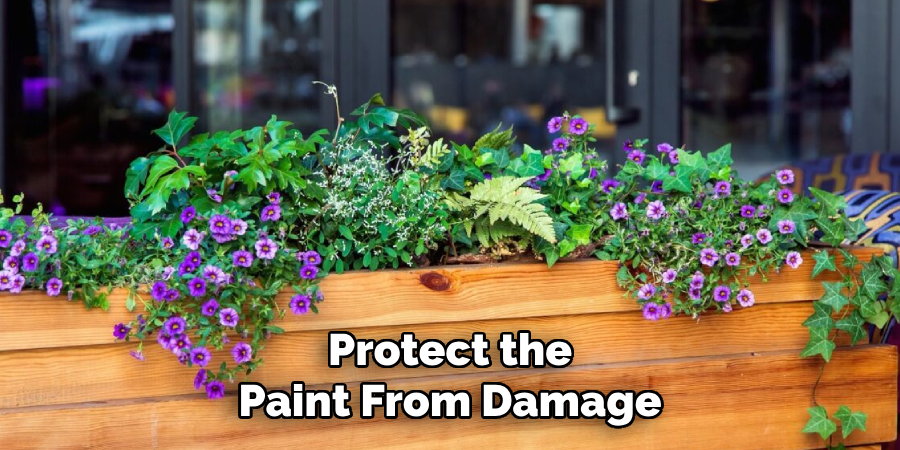Protect the Paint From Damage