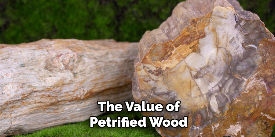 The Value of
Petrified Wood
